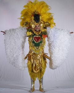 Samba School Costumes