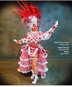 Rio Carnival Costumes