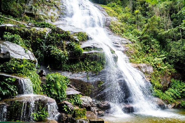 Rio de Janeiro & the  Rainforest Tour