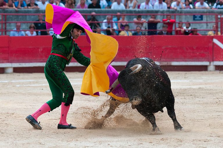 Pamplona Bull Fights