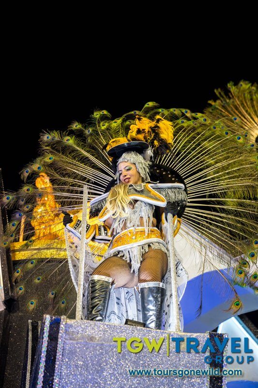 Rio Carnival 2020 Pictures 91