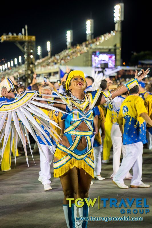 Rio Carnival 2020 Pictures 93
