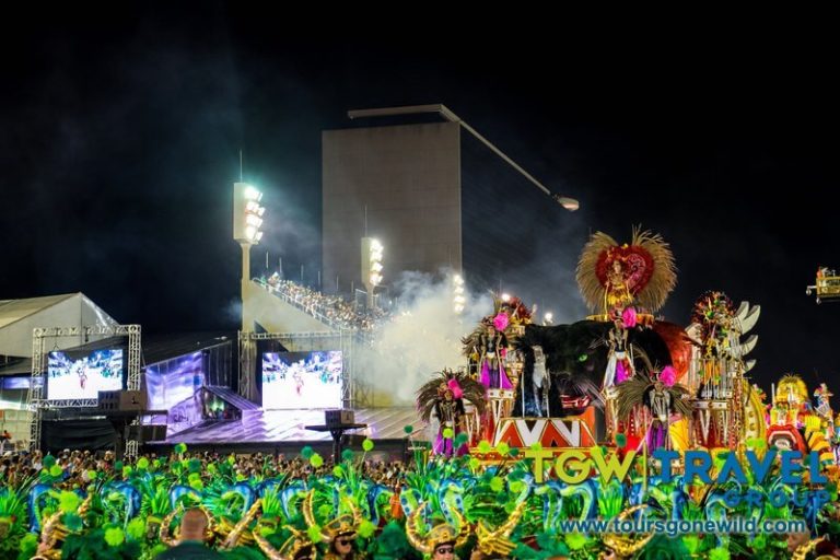 Rio Carnival 2020 Pictures 98