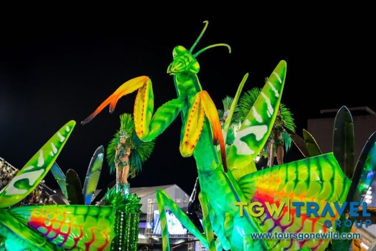 Rio Carnival 2020 Pictures 122