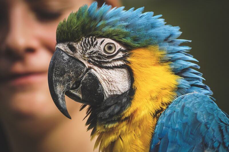 The Bird Park in Iguazu Falls