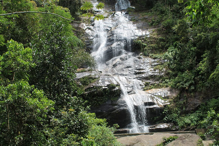 rio de janeiro must-see - tijuca forest