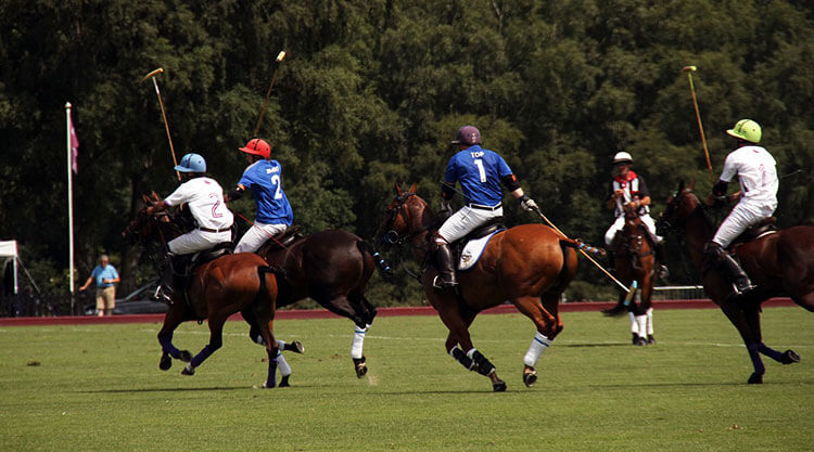 polo in buenos aires