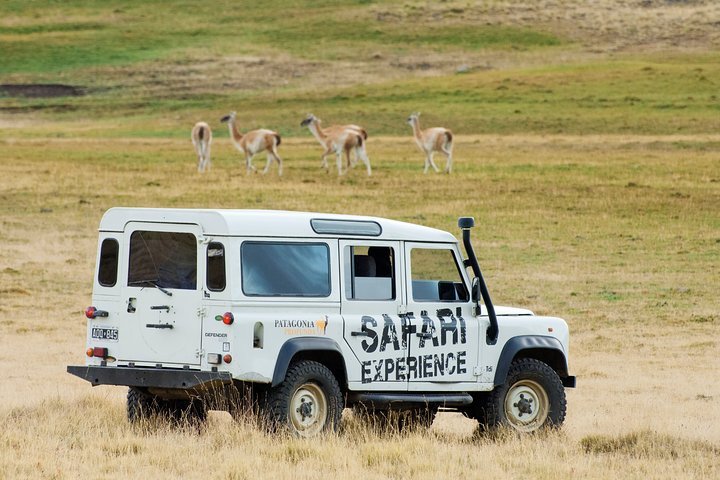 Safari Experience with Meal at a Local Ranch
