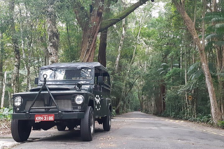 Tijuca Forest Jeep Tour with Botanical Gardens